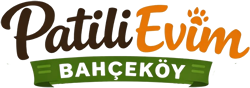Patilievim Logo